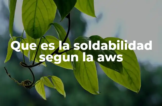 Que es la Soldabilidad Segun la Aws