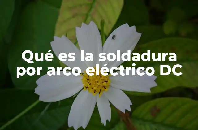 Qué es la Soldadura por Arco Eléctrico Dc