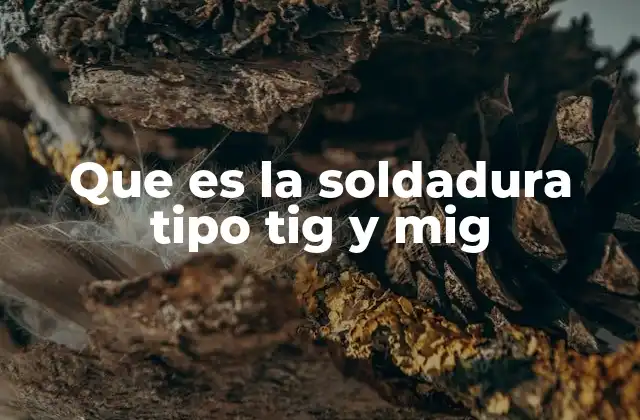 Que es la Soldadura Tipo Tig y Mig