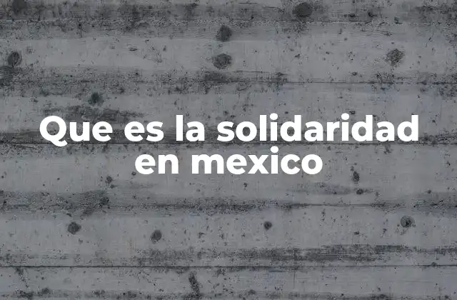 Que es la Solidaridad en Mexico