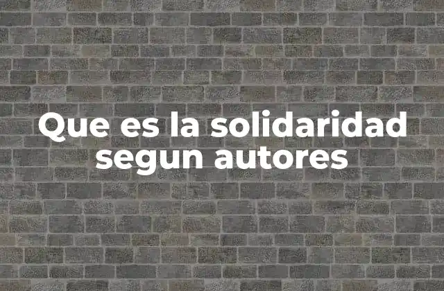 Que es la Solidaridad Segun Autores