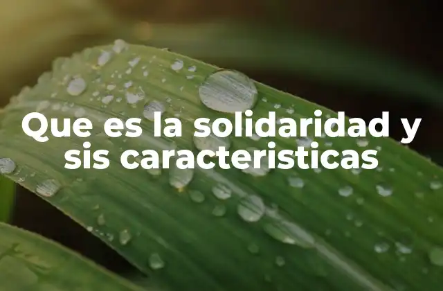 Que es la Solidaridad y Sis Caracteristicas