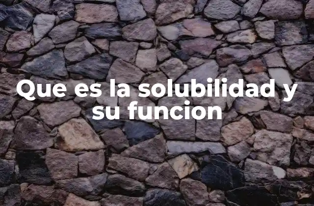 Que es la Solubilidad y Su Funcion