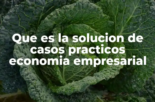 Que es la Solucion de Casos Practicos Economia Empresarial