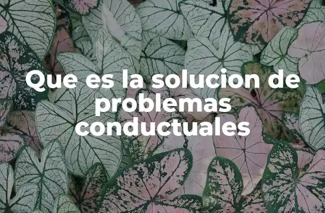 Que es la Solucion de Problemas Conductuales