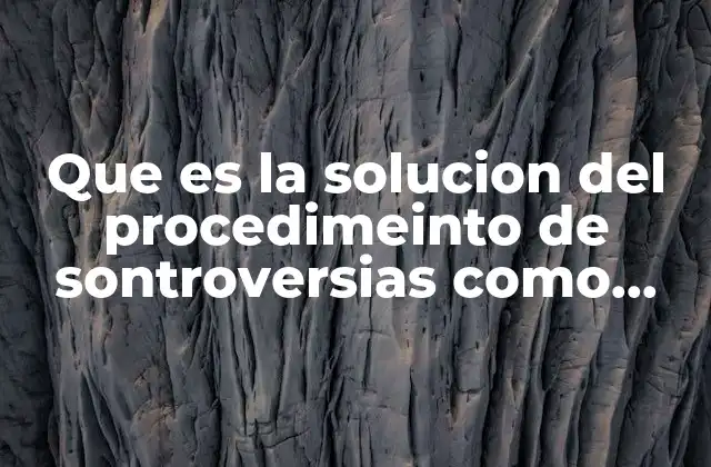 Que es la Solucion Del Procedimeinto de Sontroversias como Definicion