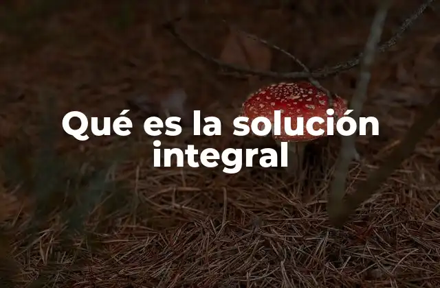 Qué es la Solución Integral