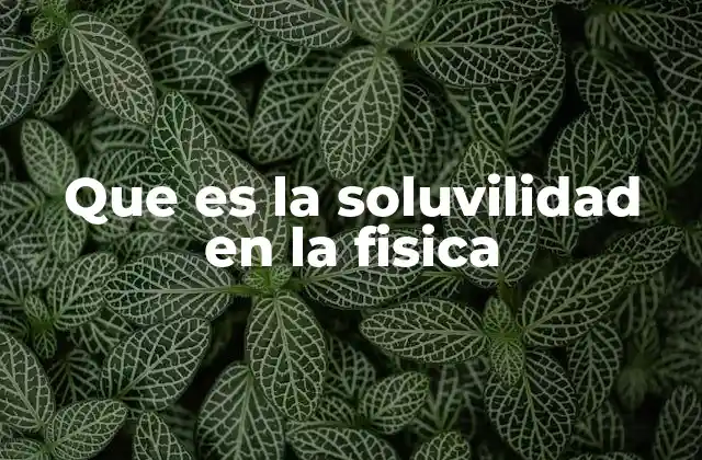 Que es la Soluvilidad en la Fisica