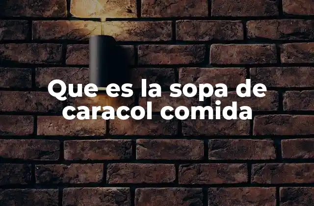 Que es la Sopa de Caracol Comida 2 Origen y evolución de este plato en la gastronomía