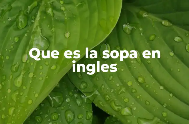 Que es la Sopa en Ingles