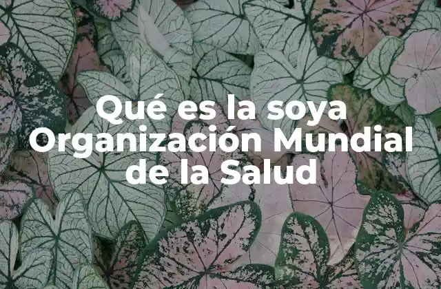 Qué es la Soya Organización Mundial de la Salud