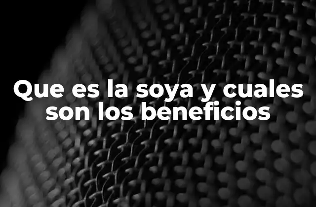 Que es la Soya y Cuales Son los Beneficios