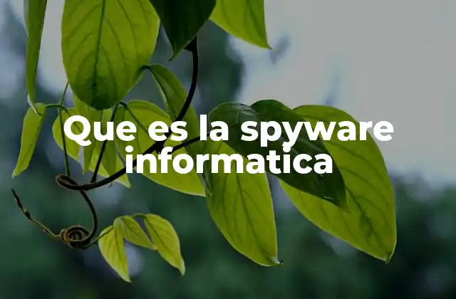 Que es la Spyware Informatica