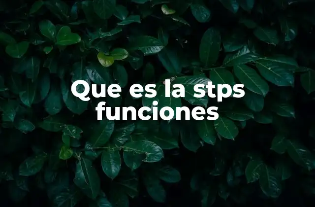 Que es la Stps Funciones