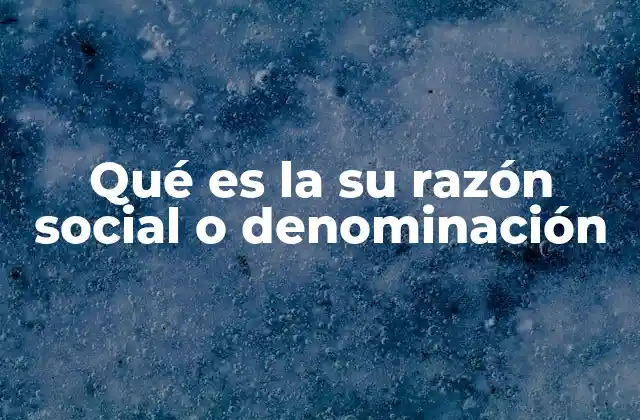 Qué es la Su Razón Social o Denominación