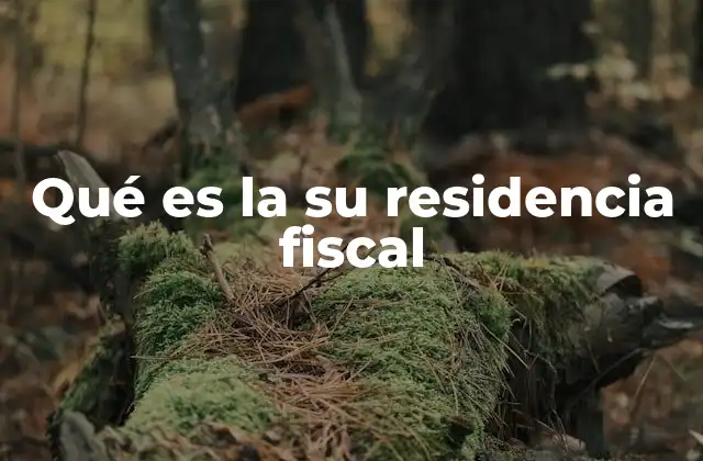 Qué es la Su Residencia Fiscal