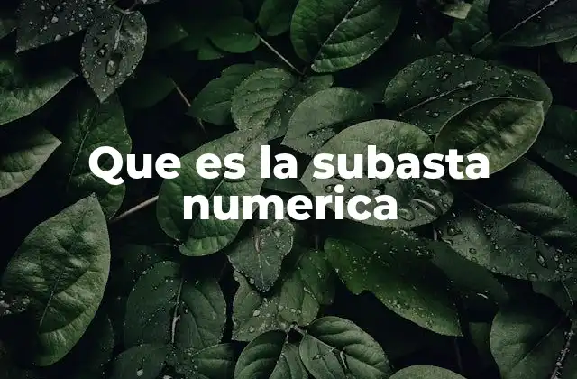 Características de las subastas numéricas