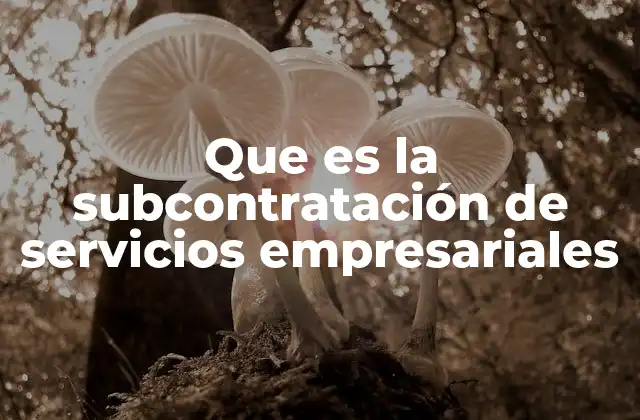 Que es la Subcontratación de Servicios Empresariales