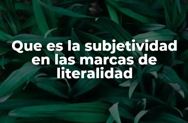 Que es la Subjetividad en las Marcas de Literalidad