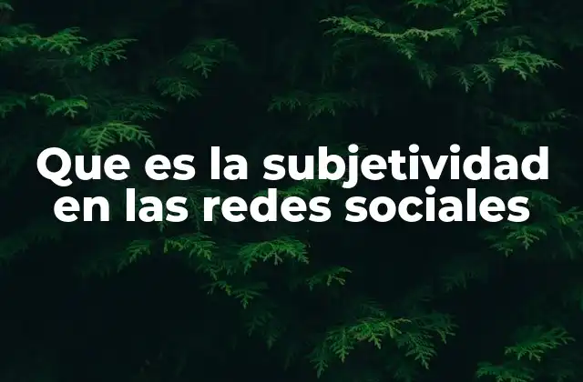 Que es la Subjetividad en las Redes Sociales 2 La influencia emocional y personal en el contenido digital