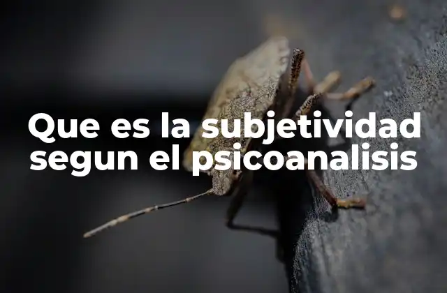 Que es la Subjetividad Segun el Psicoanalisis