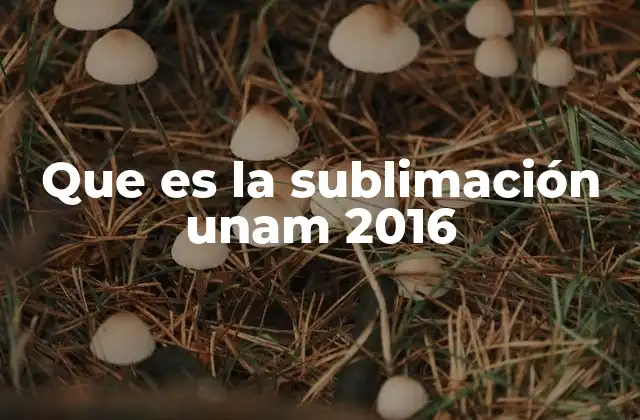 Que es la Sublimación Unam 2016