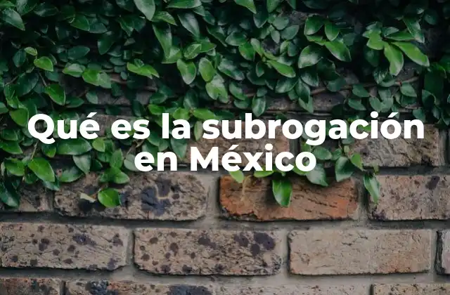Qué es la Subrogación en México