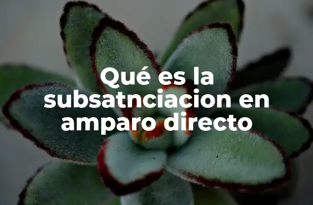 Qué es la Subsatnciacion en Amparo Directo