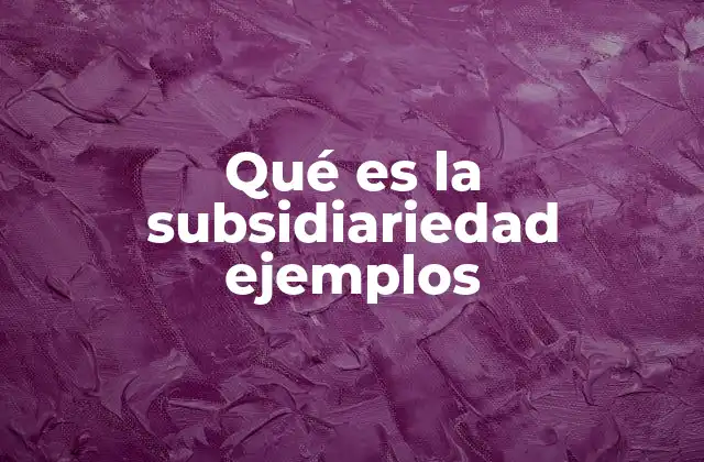 Qué es la Subsidiariedad Ejemplos