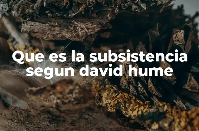 Que es la Subsistencia Segun David Hume 2 La idea de continuidad en la experiencia humana