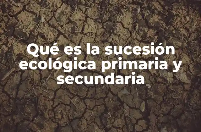 Qué es la Sucesión Ecológica Primaria y Secundaria