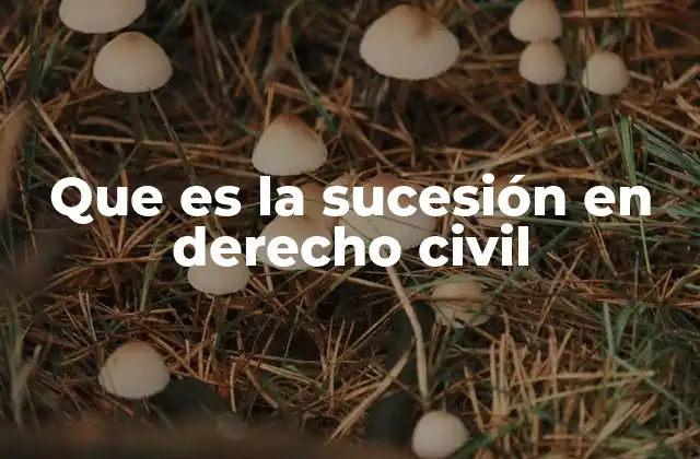 Que es la Sucesión en Derecho Civil