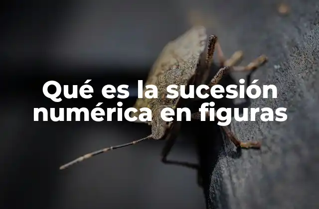 Qué es la Sucesión Numérica en Figuras