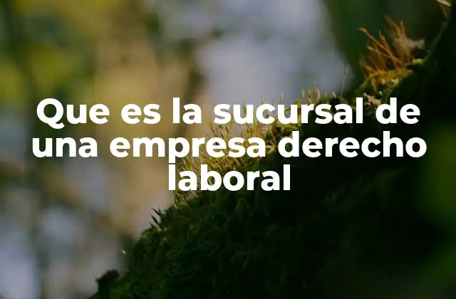 La relación entre la empresa matriz y la sucursal en el ámbito laboral