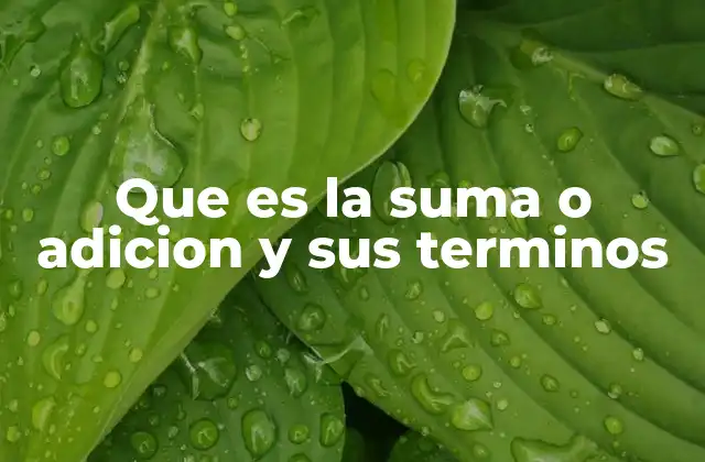 La importancia de la suma en la vida cotidiana