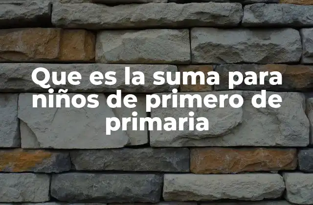 Que es la Suma para Niños de Primero de Primaria 2 La importancia de enseñar la suma en los primeros años escolares
