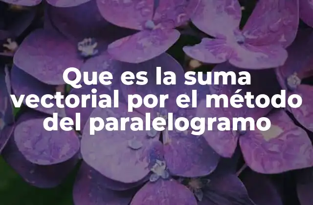 Que es la Suma Vectorial por el Método Del Paralelogramo