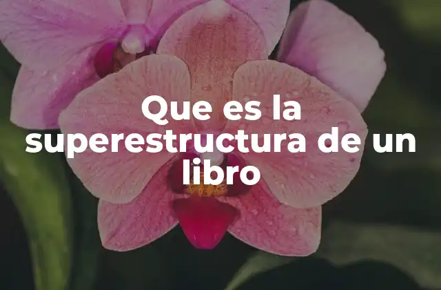 Que es la Superestructura de un Libro