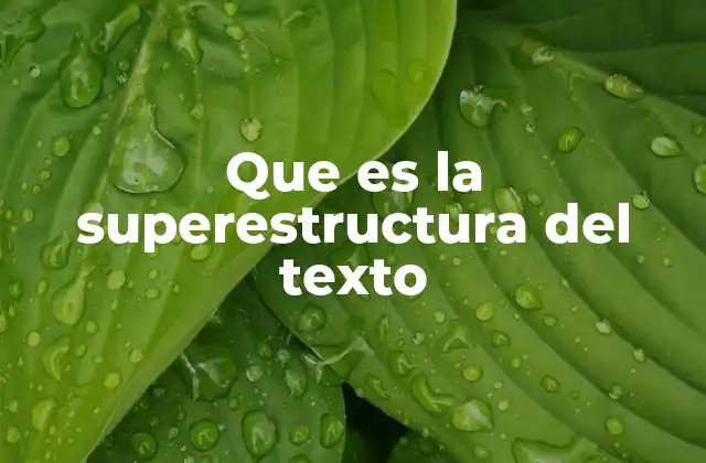 Que es la Superestructura Del Texto 2 Cómo identificar la superestructura de un texto