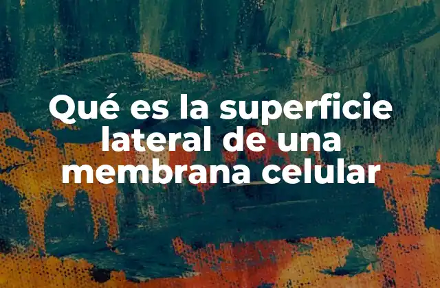Qué es la Superficie Lateral de una Membrana Celular 2 La importancia de las uniones en la superficie lateral