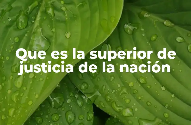Que es la Superior de Justicia de la Nación