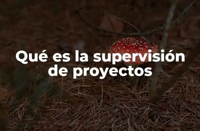 Qué es la Supervisión de Proyectos