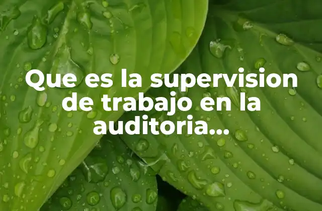 Que es la Supervision de Trabajo en la Auditoria Administrativa
