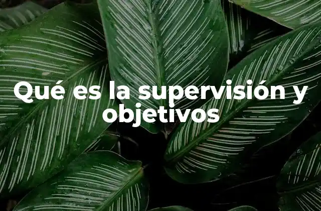 Qué es la Supervisión y Objetivos 2 El rol de la supervisión en el desarrollo organizacional