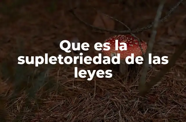 El mecanismo de aplicación de normas en ausencia de normas específicas