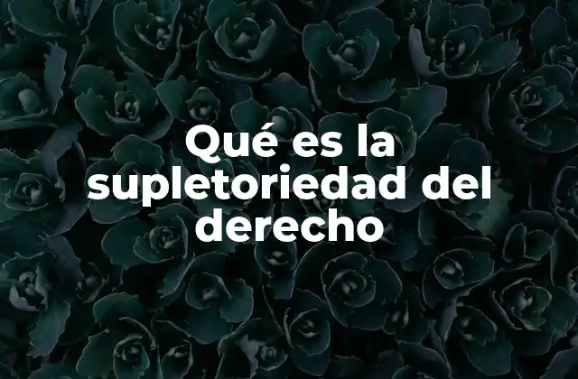 Qué es la Supletoriedad Del Derecho