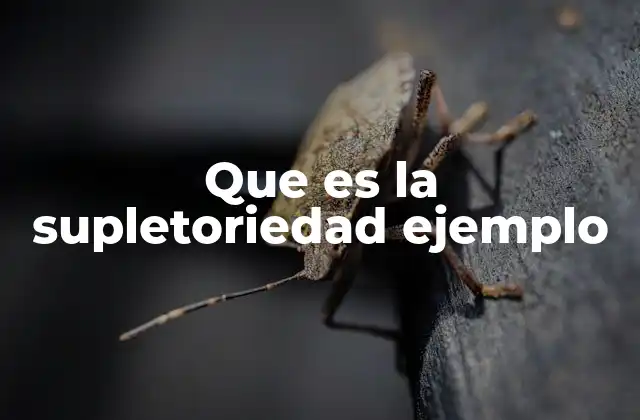 Que es la Supletoriedad Ejemplo