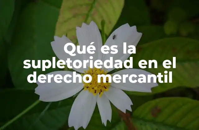 Qué es la Supletoriedad en el Derecho Mercantil 2 El papel de la supletoriedad en la regulación contractual