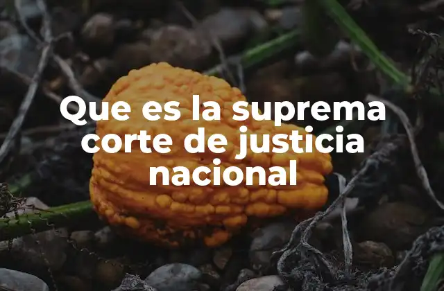 Que es la Suprema Corte de Justicia Nacional