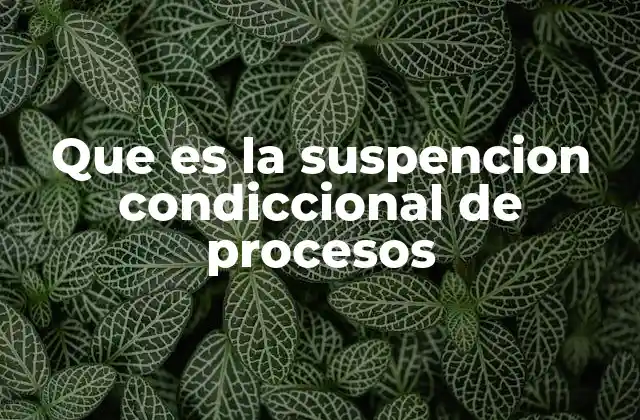 Que es la Suspencion Condiccional de Procesos 2 El equilibrio entre procesos concurrentes